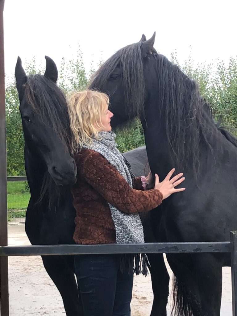 17 mei: Inspiratie Ochtend Paardencoaching